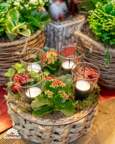 Arrangement floral de Noël avec bougies et plantes en pot tressé.